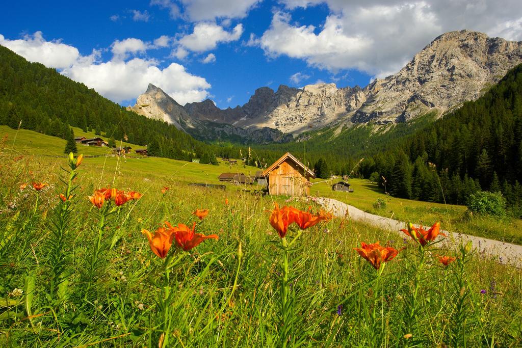 Relais San Giusto Ξενοδοχείο Campitello di Fassa Εξωτερικό φωτογραφία